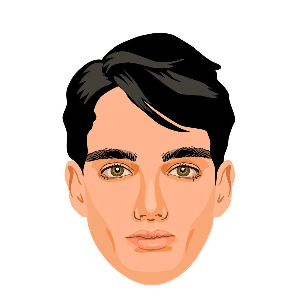 apuesto hombre de cabello oscuro con ojos color avellana. atractivo retrato masculino aislado sobre fondo blanco. rasgos faciales detallados. vector