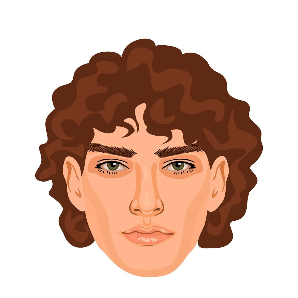 Brunette man head isolated on white background. Handsome male avatar. Beautiful face with detailed eyes, nose and lips. Curly hairstyle vector