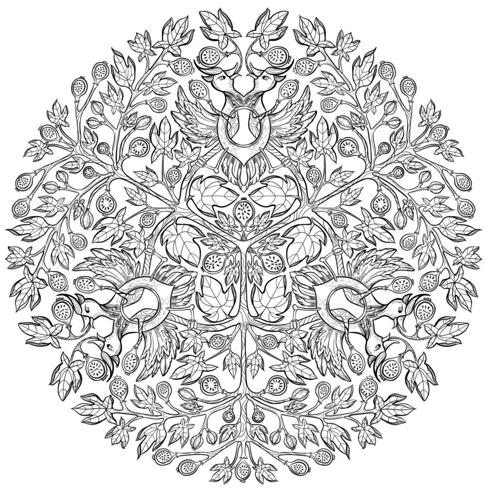Bird and figs vector hand drawn mandala ornament isolate on white