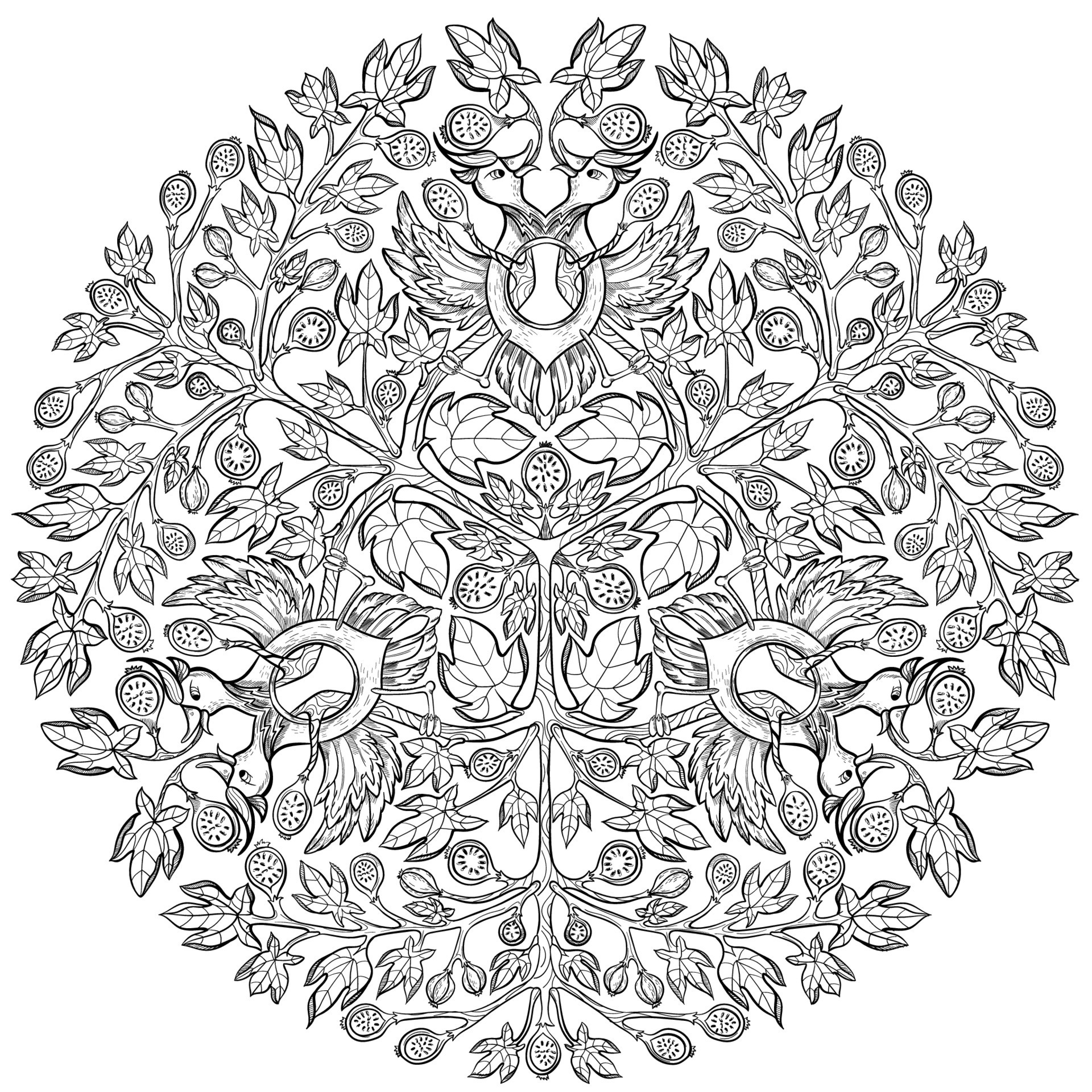 Mandala Vs Figslowes White Pegboard - 87s2mw2