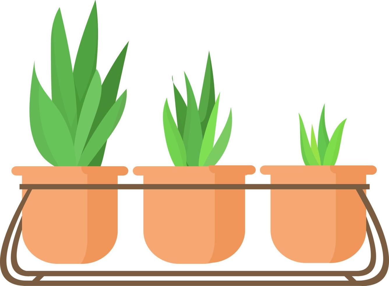 ilustración gráfica vectorial, ilustración plana, planta interior colorida, ideas de plantas domésticas, diseño moderno para jardín interior, plantas de aloe para accesorios domésticos vector