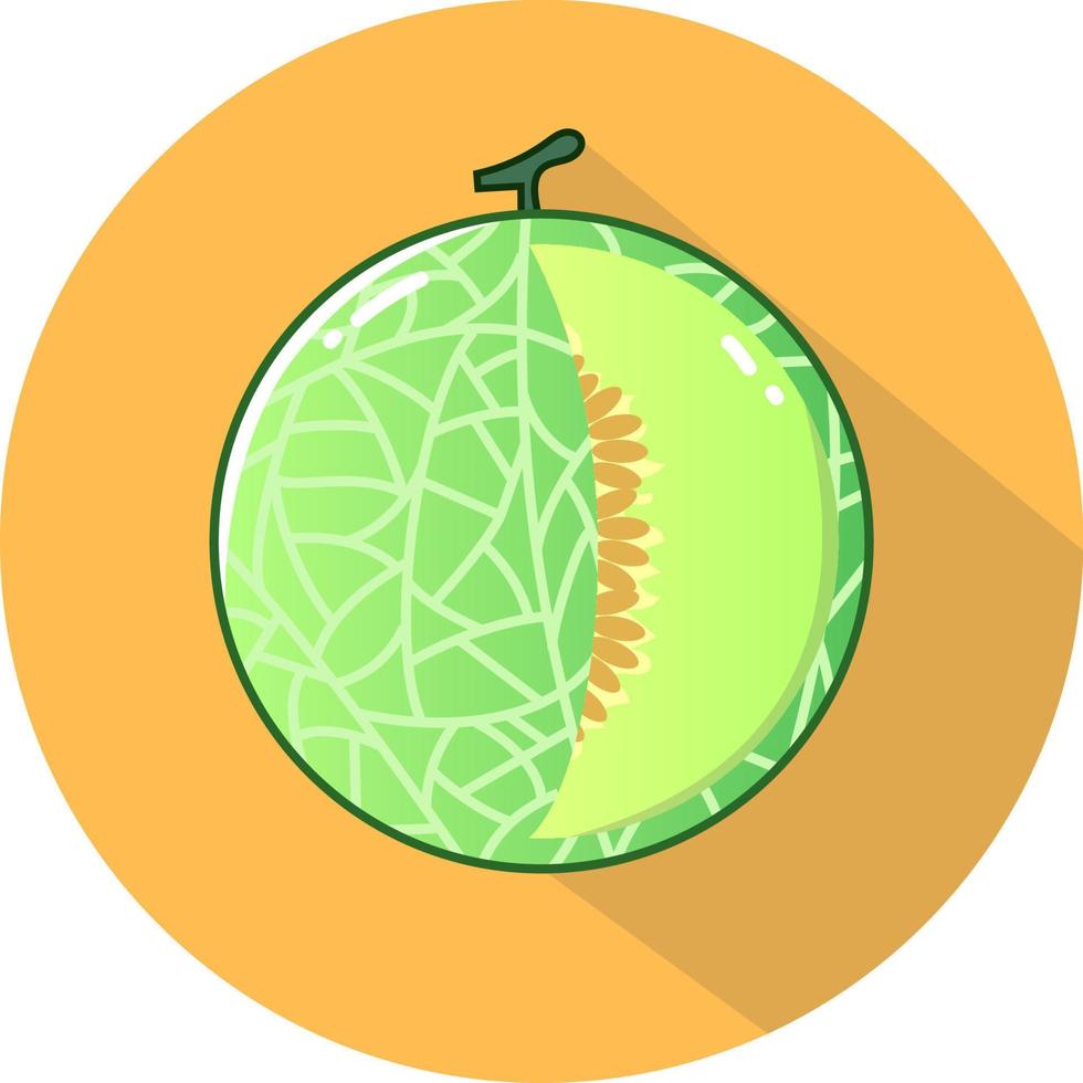 melon flat vector illustration, tropical fruit, delicious and juicy drink, melon in cartoon style for web design