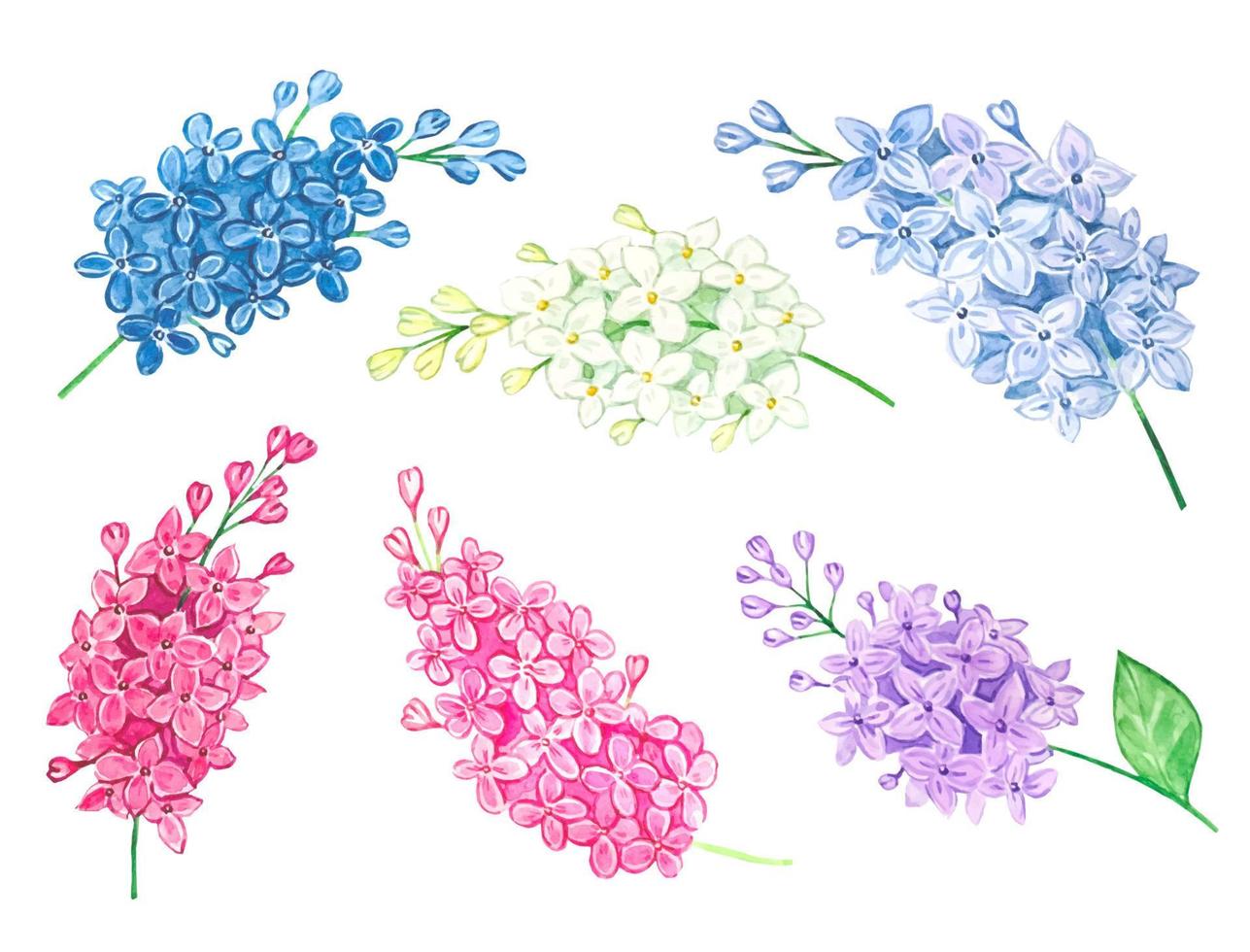 Collection of watercolor lilac branches, isolated vector
