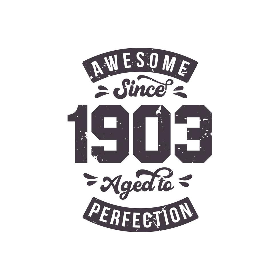 Born in 1903 Awesome Retro Vintage Birthday, Awesome since 1903 Aged to Perfection vector