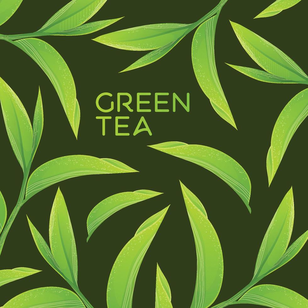 Ilustración de vector de hojas de té verde