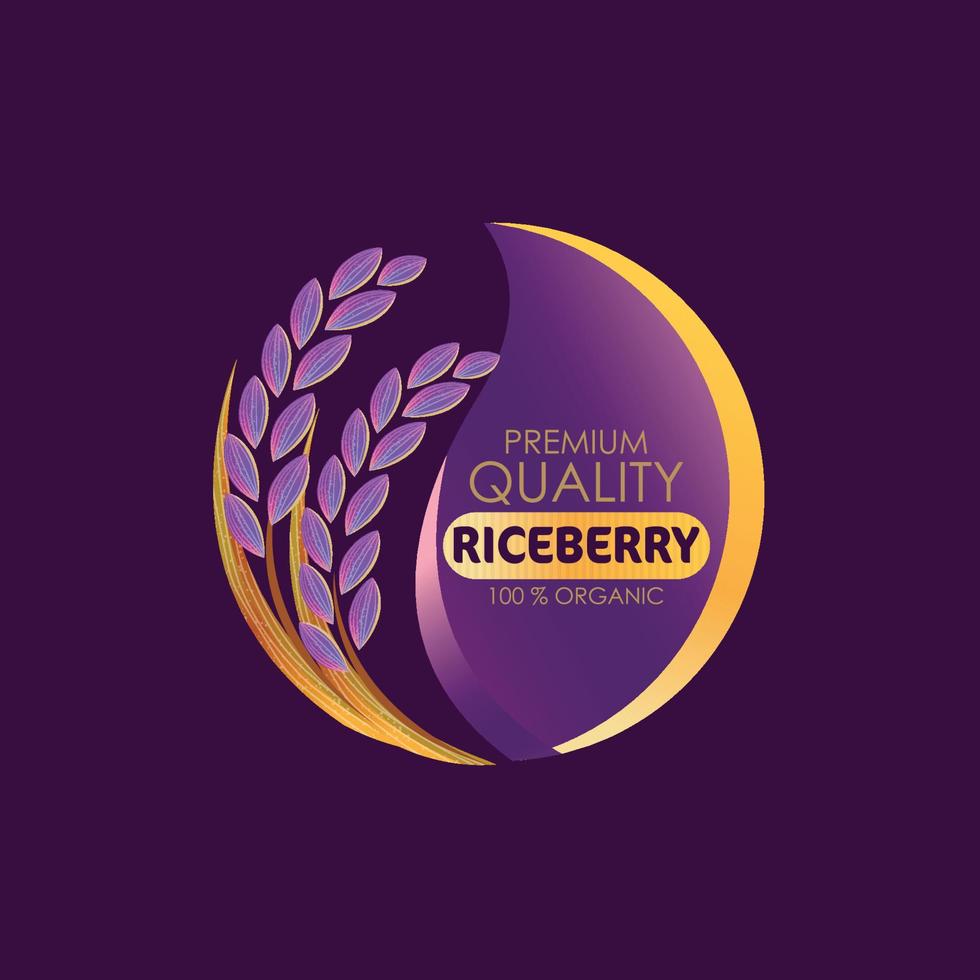 organic paddy rice, ear of paddy, ears of Thai riceberry rice isolated vector illustration