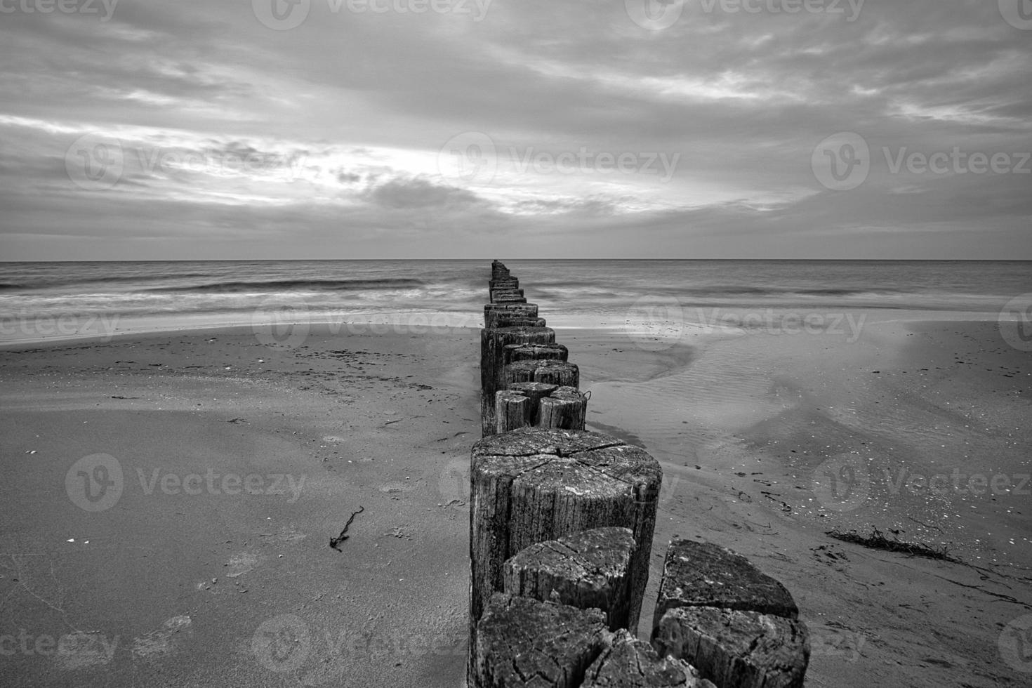 Groynes on the Baltic Sea in black and white with a lot of structure protruding into the sea. photo