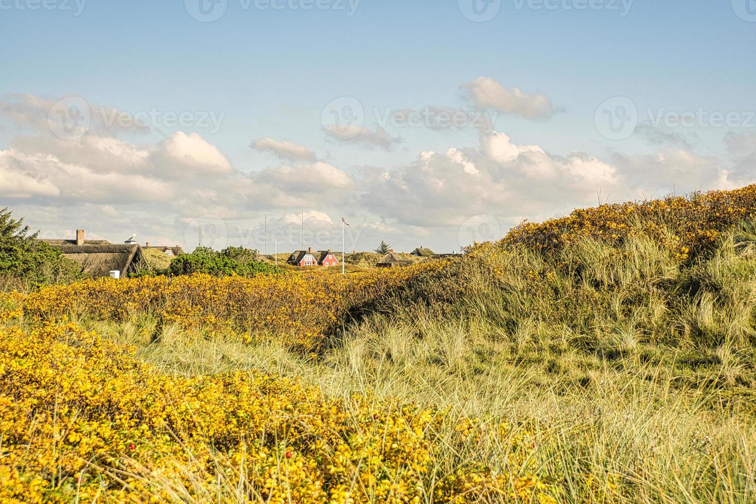 Let at ske Skru ned Brokke sig on the coast of Blavand Denmark. View over the dunes. Bright colors.  Landscape 9735424 Stock Photo at Vecteezy