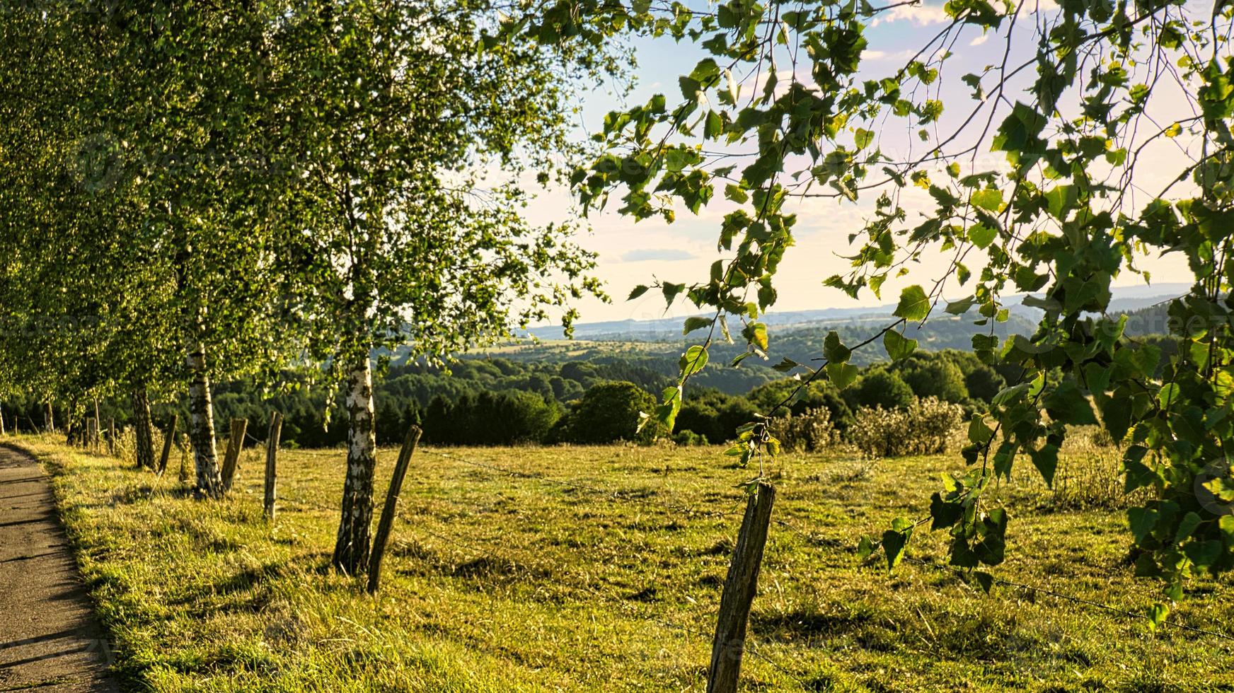 un día soleado en el sarre con vistas a los prados del valle. abedul y valla en primer plano foto
