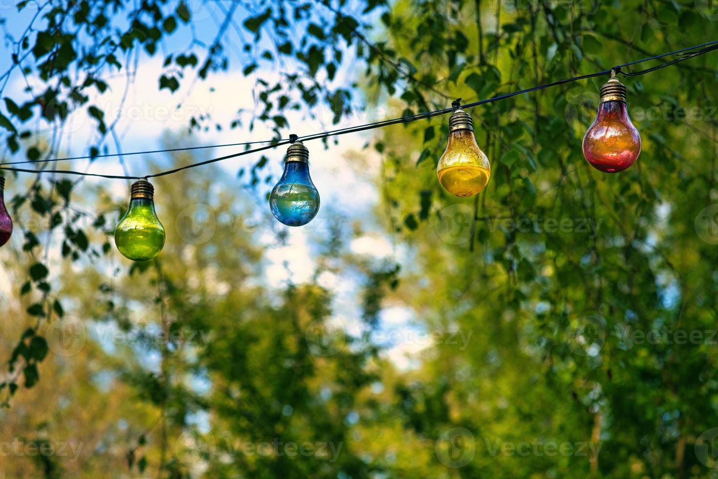 cadena de luces colgando del árbol. fiesta de jardin. Lugar romantico. luz de colores foto