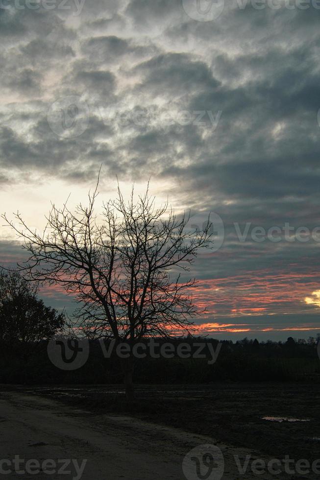 Setting sun on the outskirts of Berlin. The sky seems to burn photo