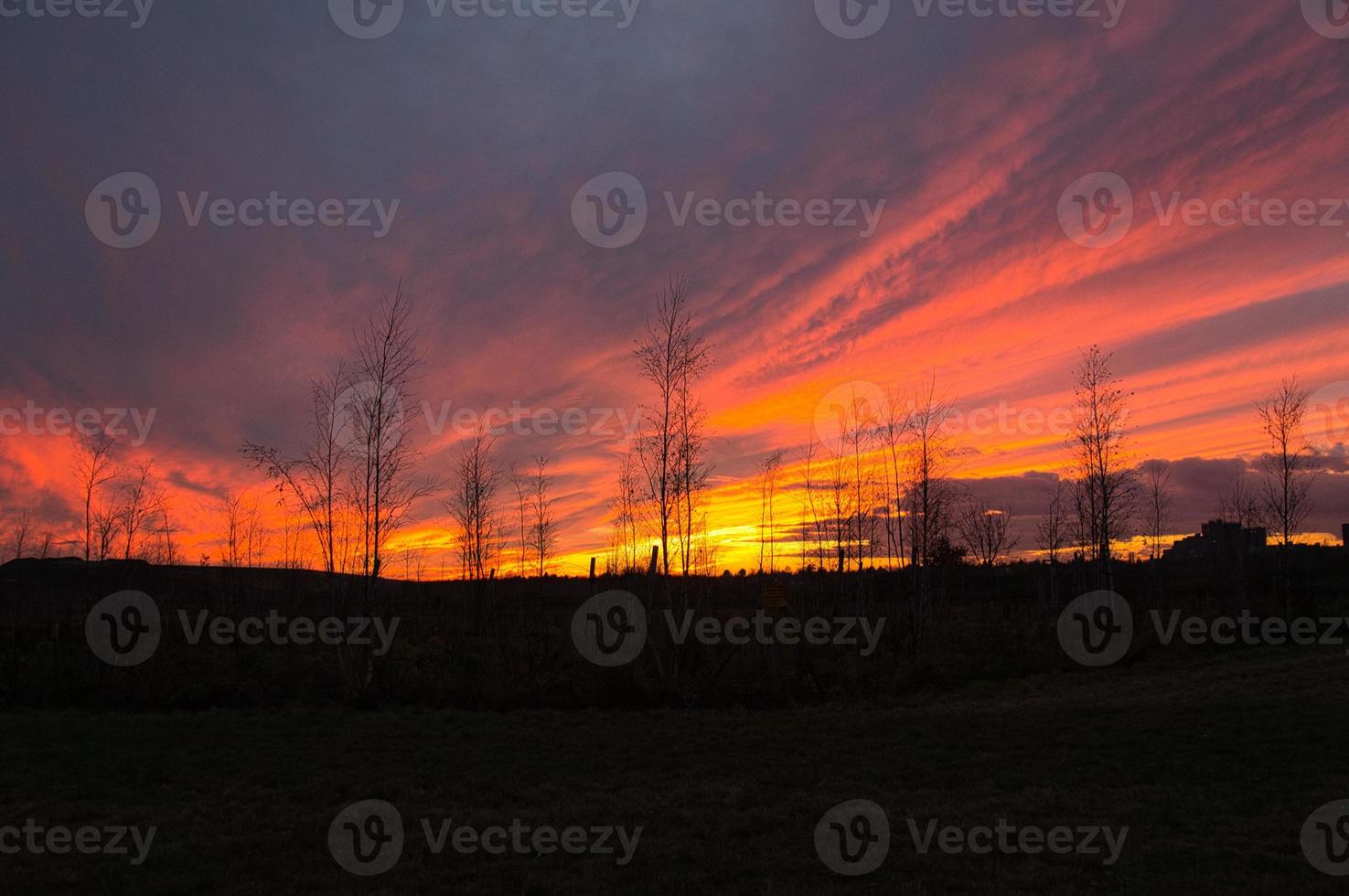 Sunset with burning sky behind the trees. photo