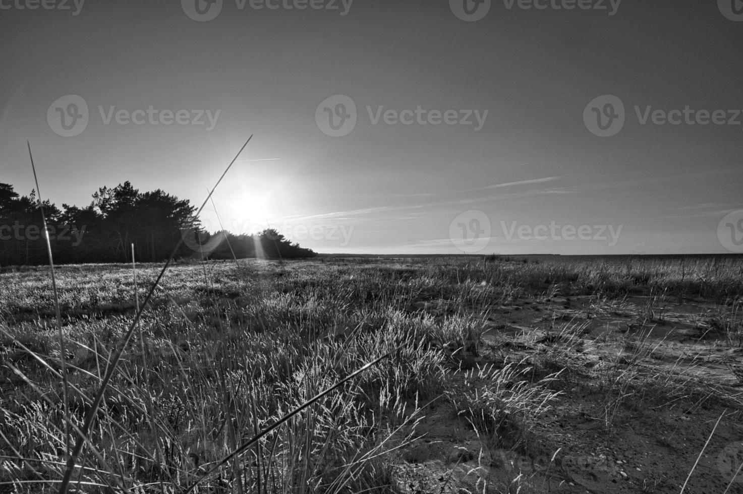 View over the beach to the Baltic Sea at sunset. photo