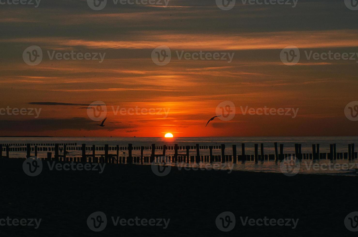 sunset in Zingst at the sea. red orange sun sets on the horizon. Seagulls circle in the sky photo