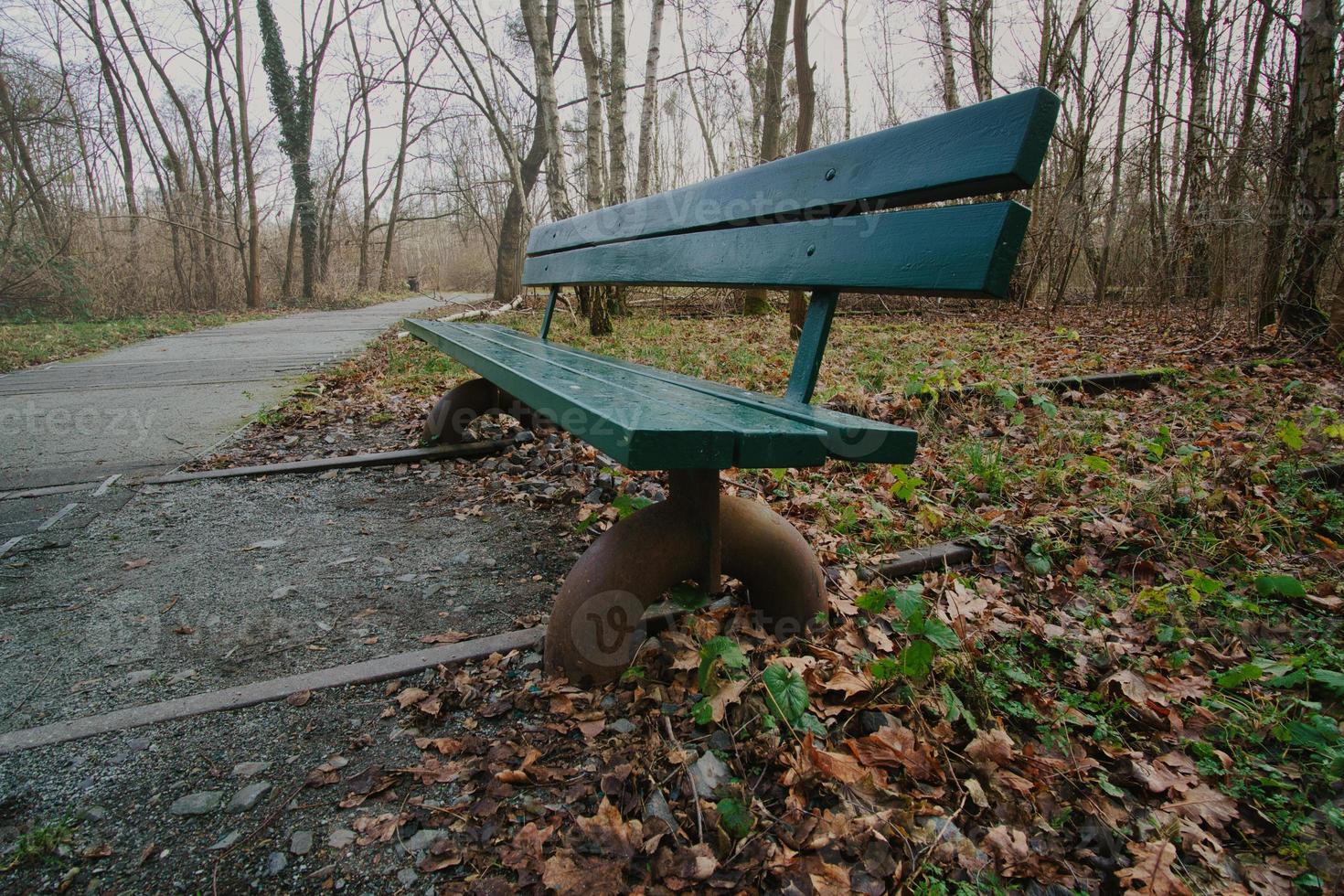 banco de parque de madera sobre vías de tren abandonadas en un parque en otoño. disfrutar solo foto