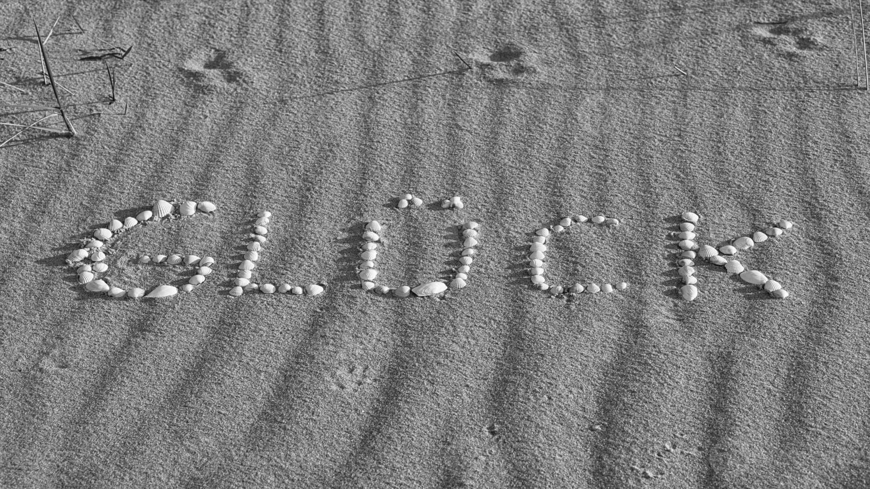with shells laid symbol happiness on the beach of the Baltic Sea in the sand photo