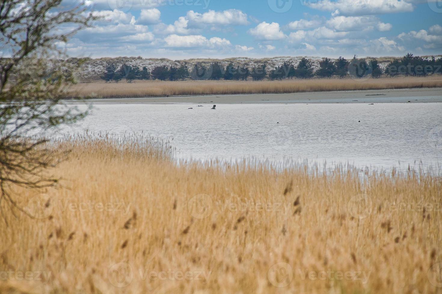 Bird lookout Pramort on the darss. wide landscape with view to the bodden and the baltic sea photo