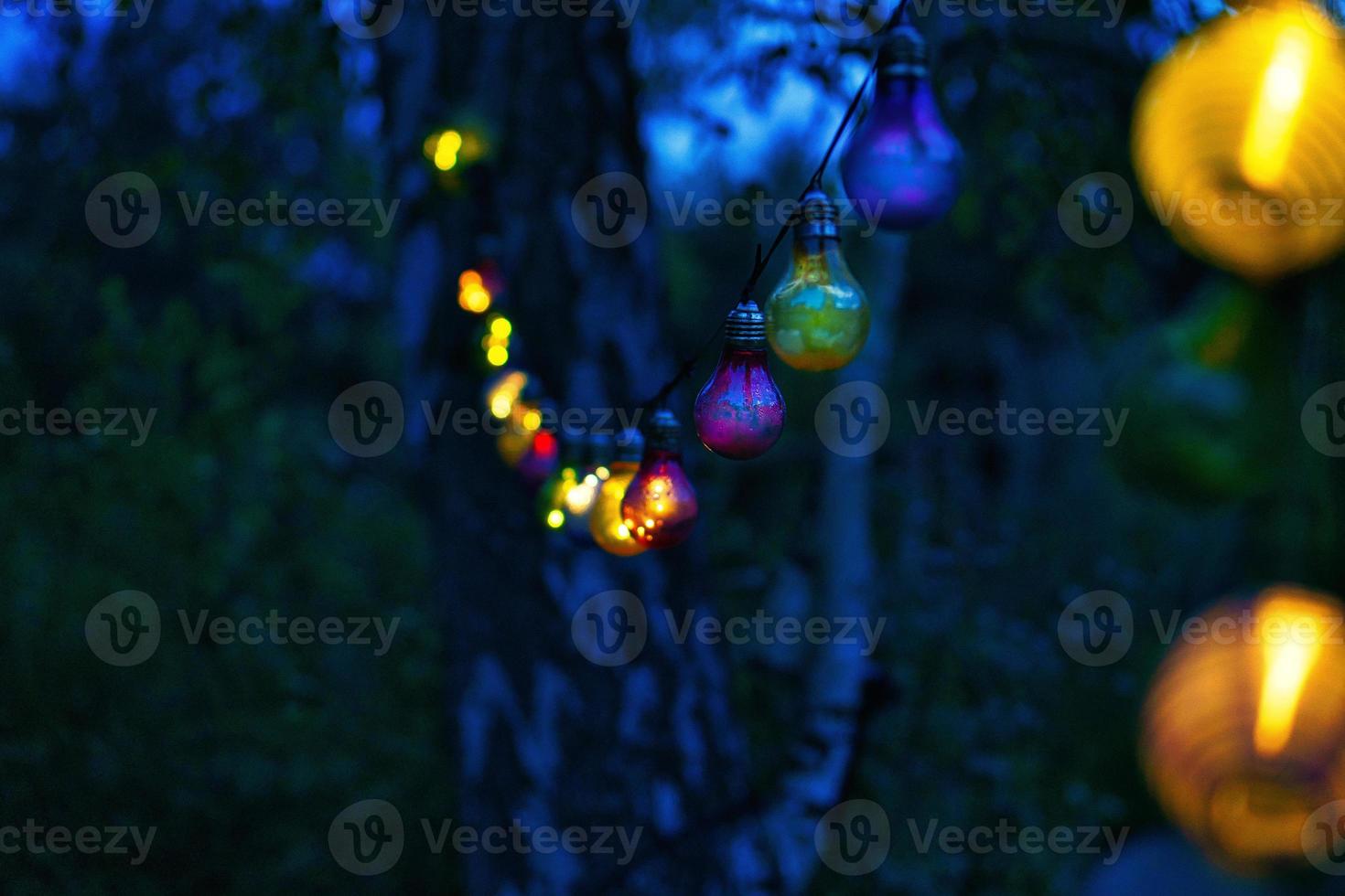 String of lights hanging on the tree. Garden party. Romantic place. Colorful light photo