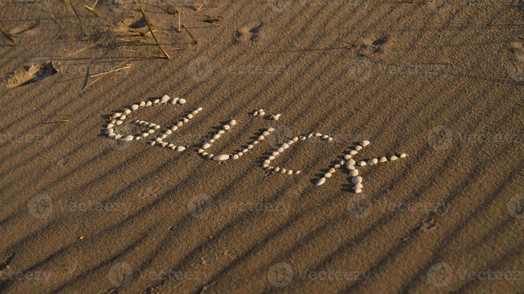 with shells laid symbol happiness on the beach of the Baltic Sea in the sand photo