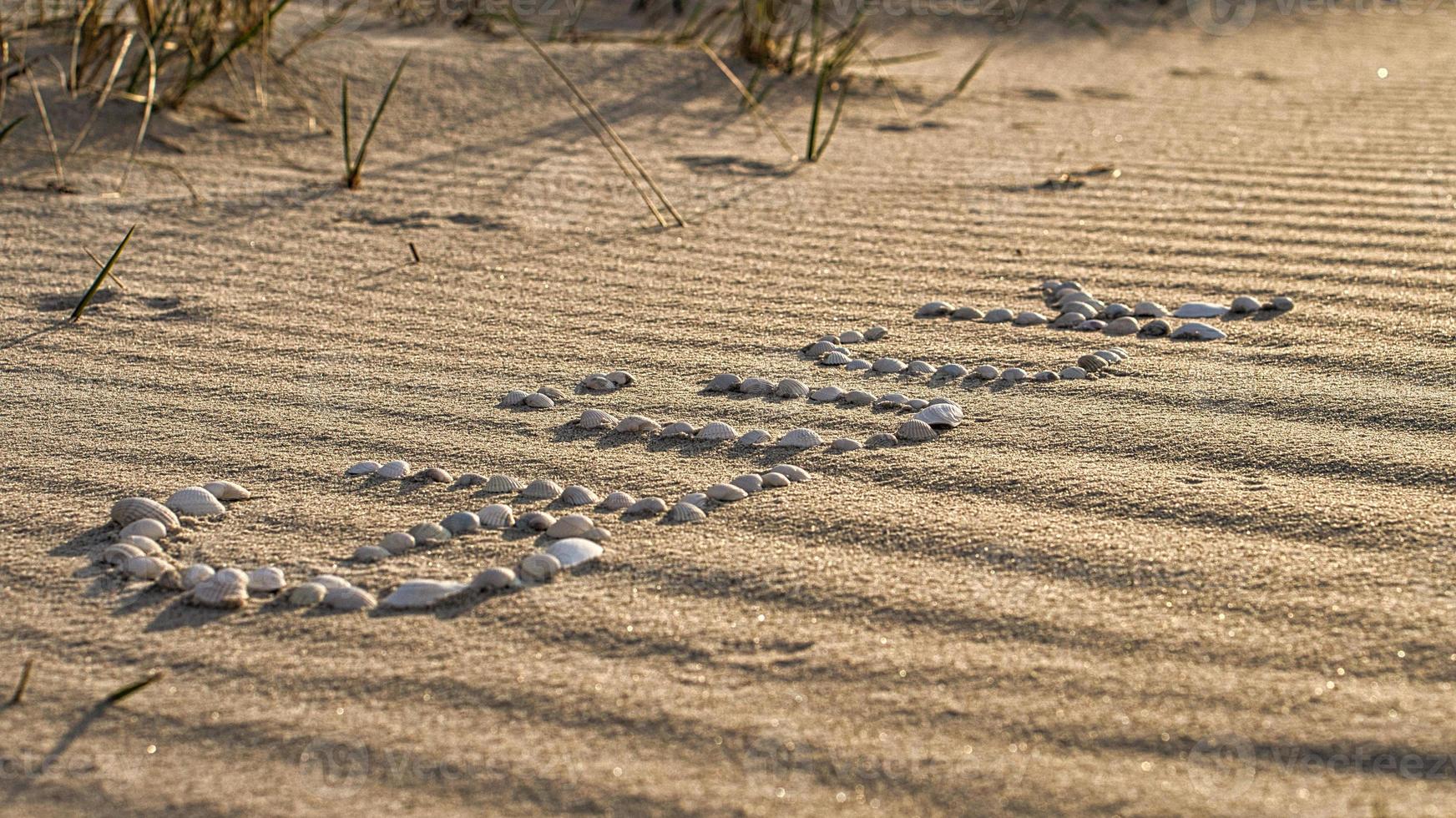 with shells laid symbol happiness on the beach of the Baltic Sea in the sand photo