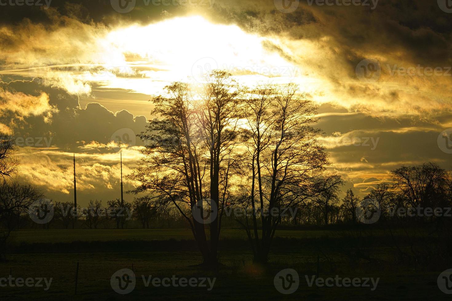 puesta de sol con cielo ardiente detrás de los árboles. foto