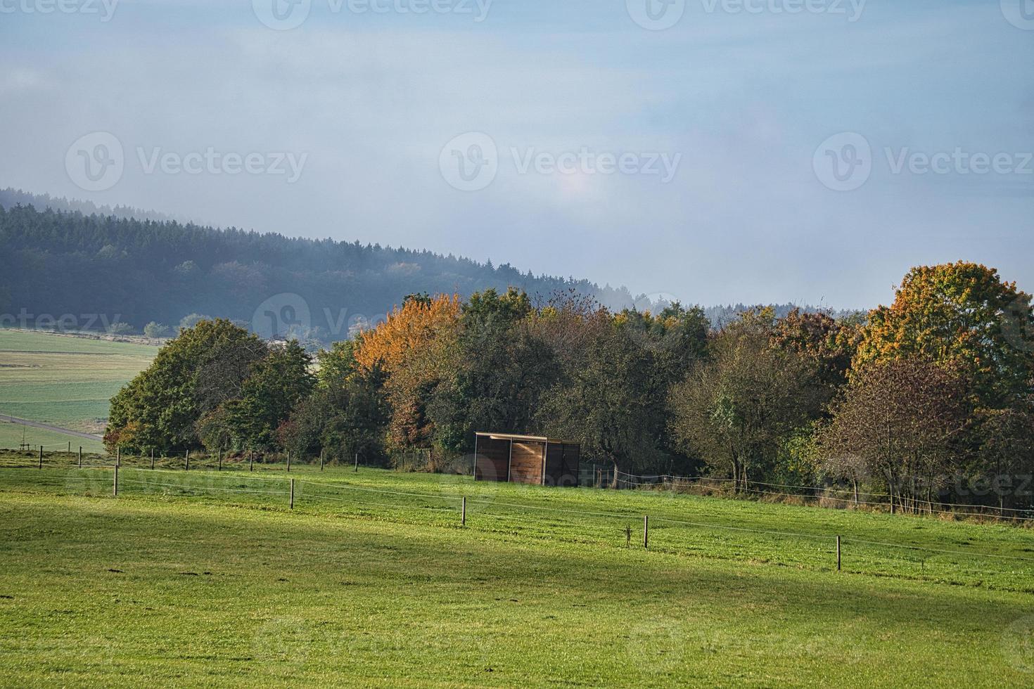 In Saarland forests, meadows and solitary trees in autumn look. photo