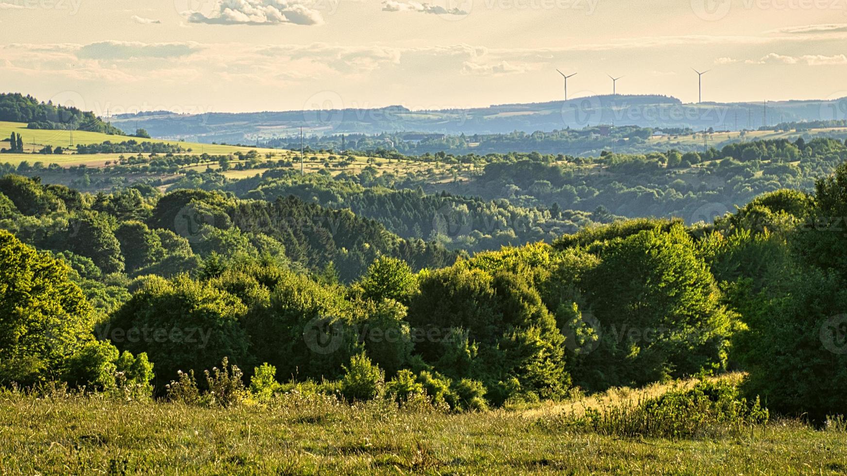 A sunny day in the Saarland with a view over meadows into the valley. photo