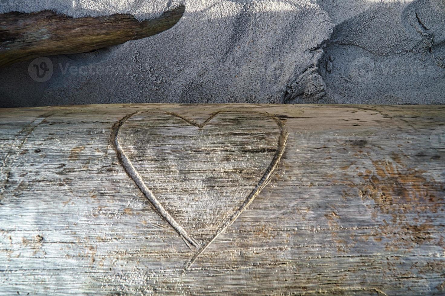 Heart carved into a tree trunk. Proof of love for lovers. photo