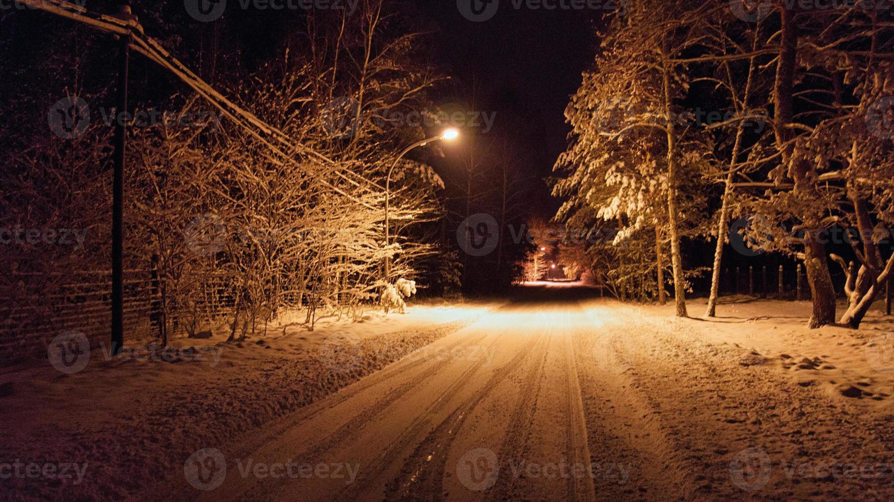 Snowy road with snow on the trees. photo