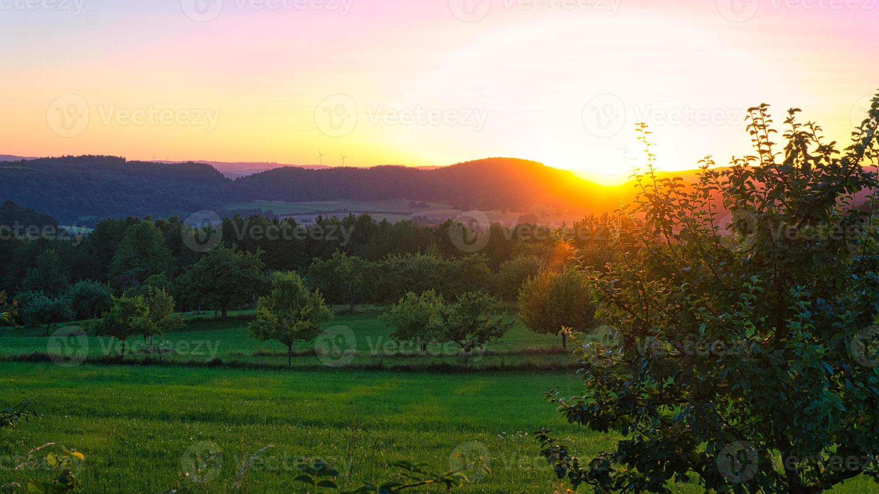 Sunset in Saarland on a meadow with trees and view into the valley photo