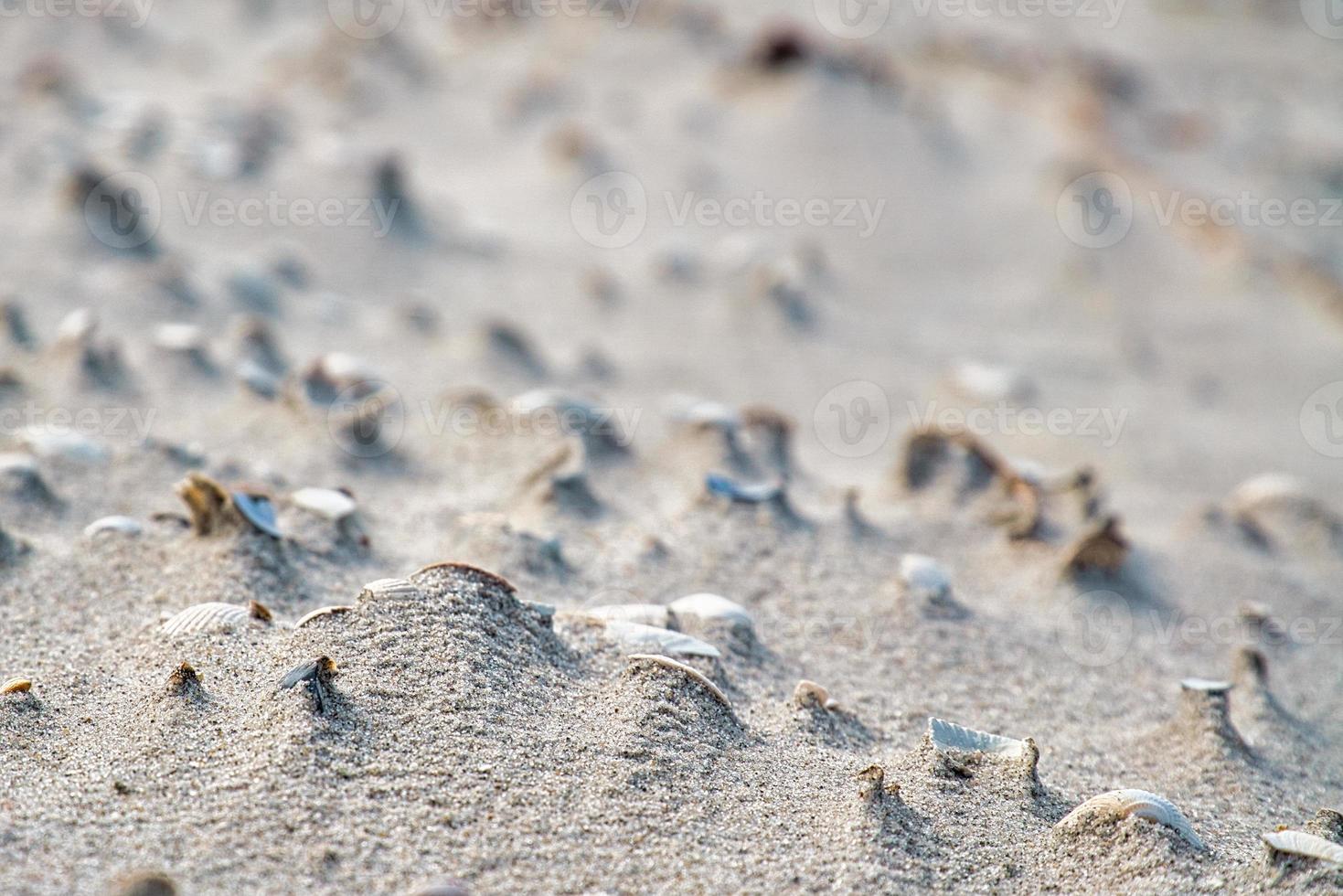 Wave pattern on the beach of the Baltic Sea. The waves leave a pattern in the sand. photo