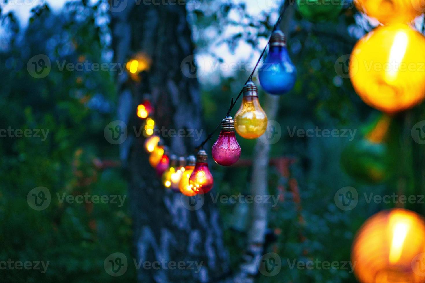 String of lights hanging on the tree. Garden party. Romantic place. Colorful light photo