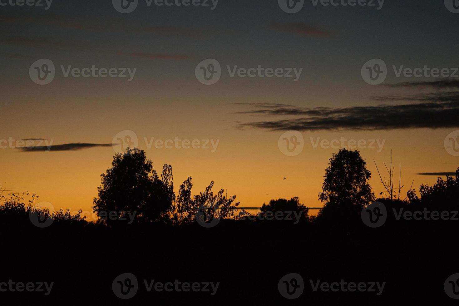 Sunset with burning sky behind the trees. photo