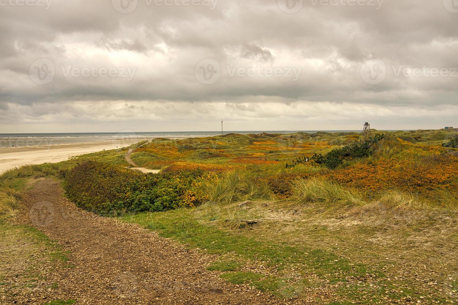on the coast of Blavand Denmark. View over the dunes. In autumn everything photo
