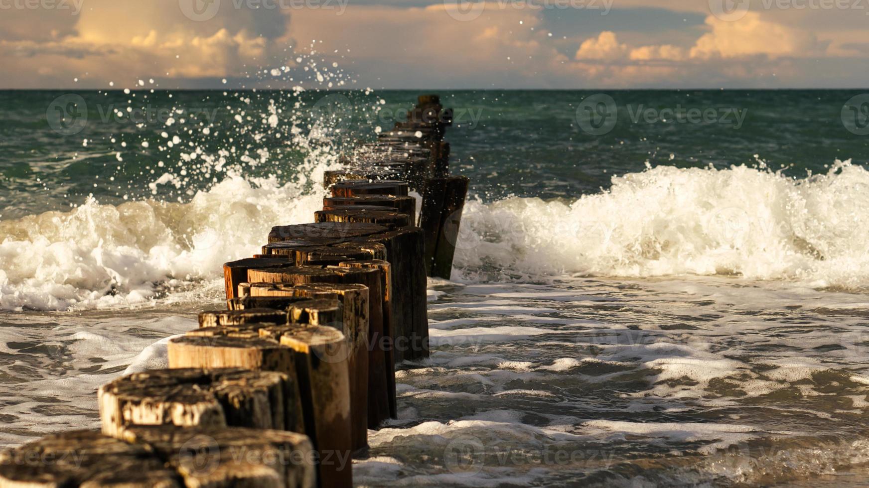 groynes jutting into the sea. taken in zingst on the darss. photo