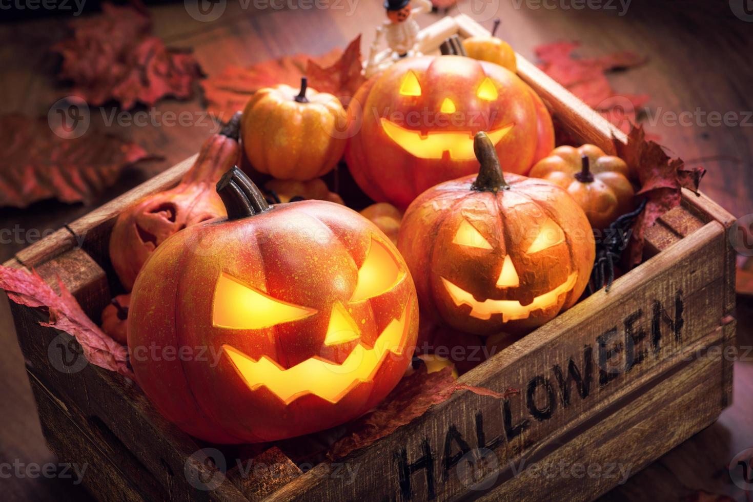 Crew halloween pumpkins happy in aged wooden box Old vintage photo