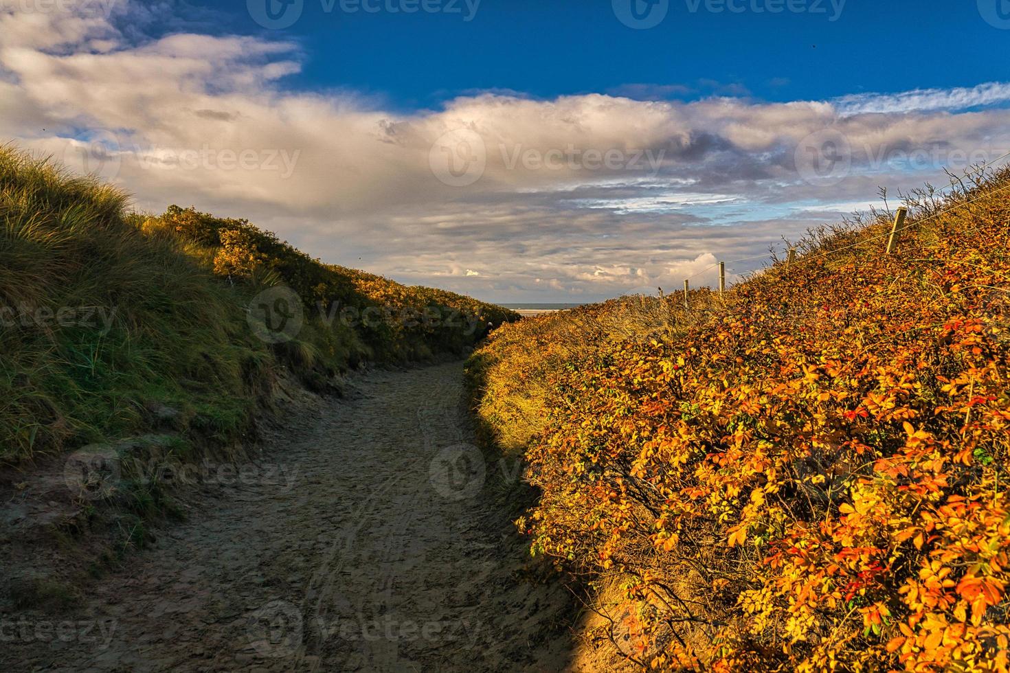 on the coast of Blavand Denmark. View over the dunes photo