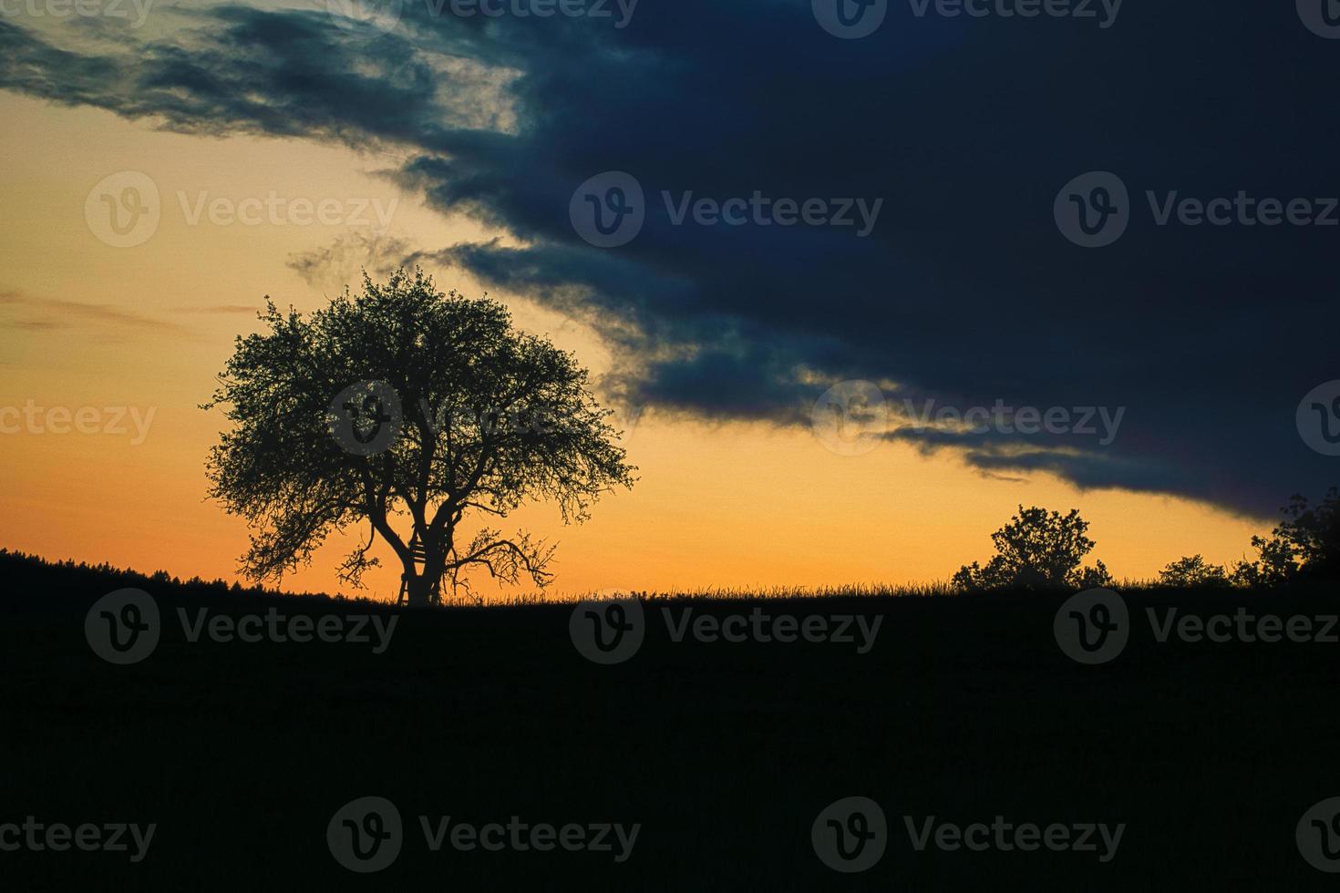 Sunset in Saarland with a tree against which a ladder is leaning. dramatic sky . photo