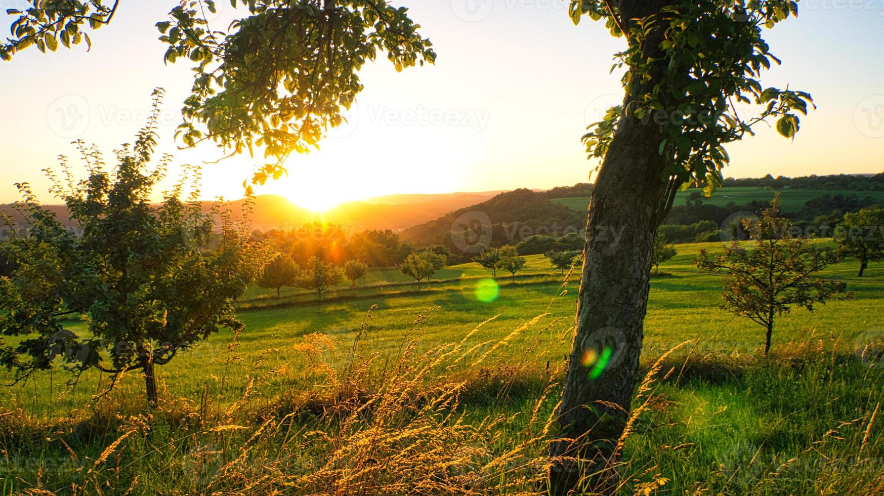 Sunset in Saarland on a meadow with trees and view into the valley photo