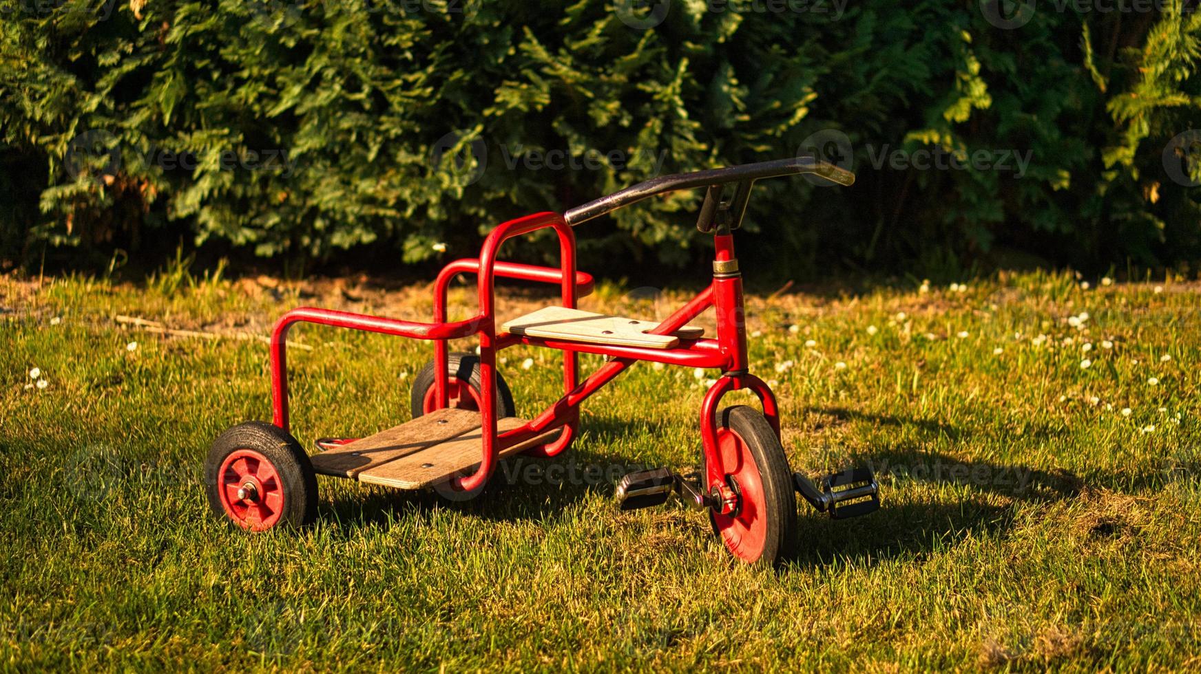 Tricycle for children with passenger function. photo