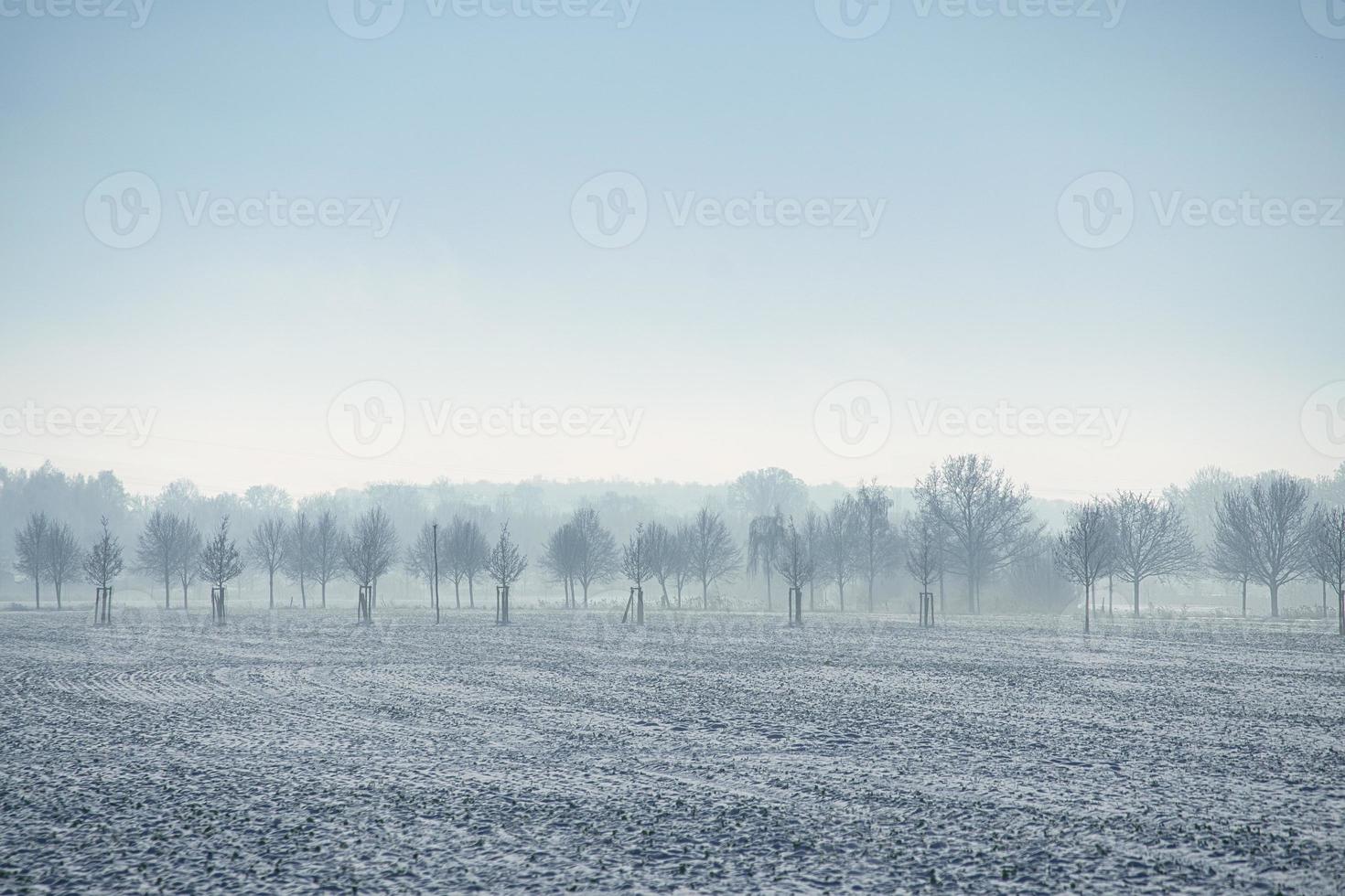 Winter landscape with trees and field in frosty cold christmas time. photo