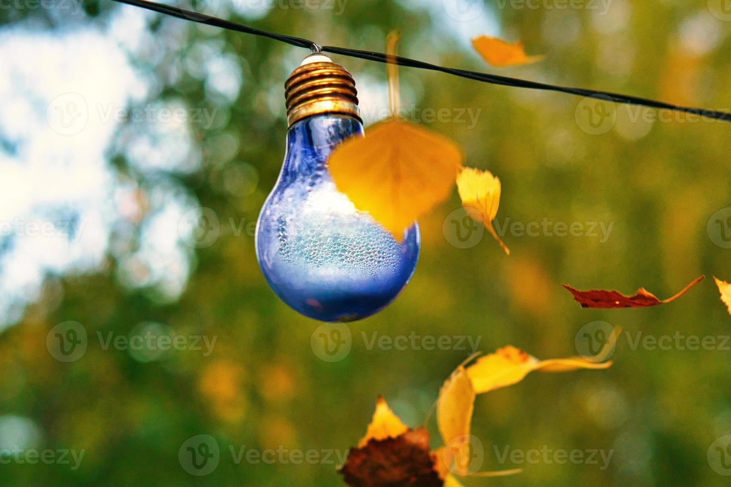 String of lights hanging on the tree. Garden party. Romantic place. Colorful light photo