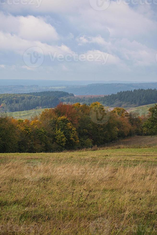 In Saarland forests, meadows and solitary trees in autumn look. photo