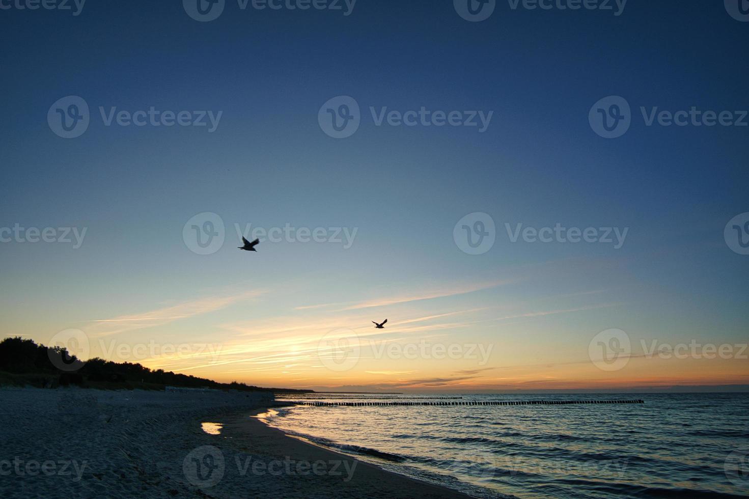 View over the beach to the Baltic Sea at sunset with seagulls in the sky photo