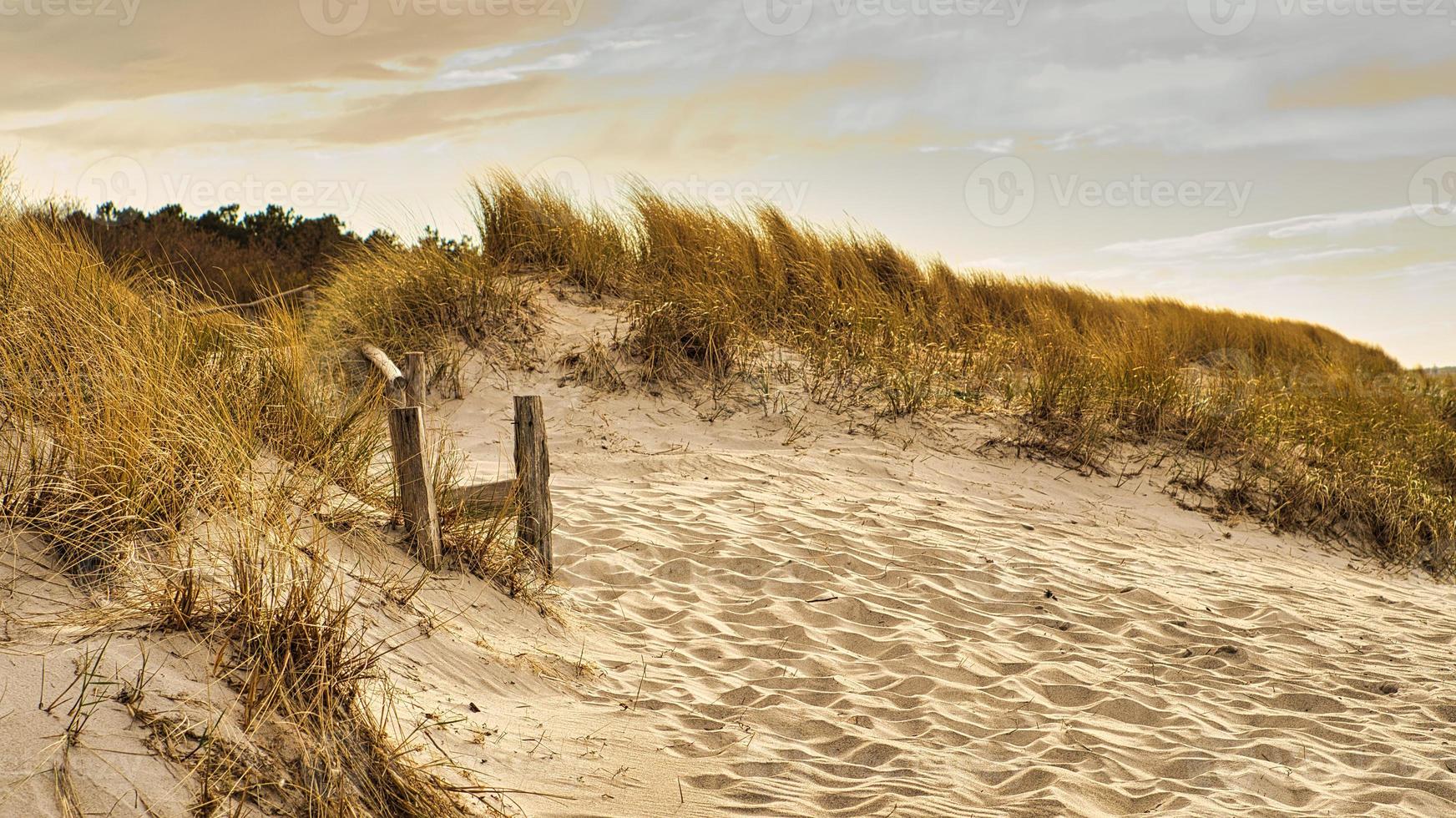 on the beach of the Baltic Sea a beach crossing over the dunes. Walking on the beach photo