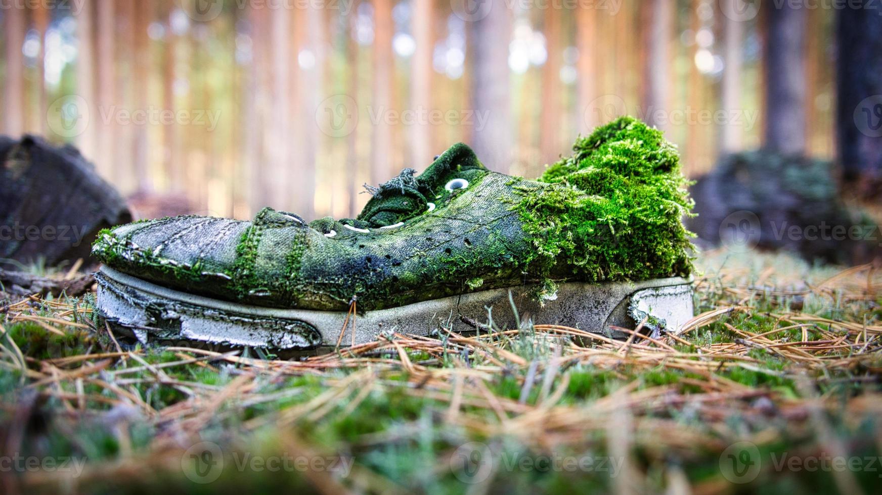 rotting shoe in forest overgrown with moss and forgotten photo
