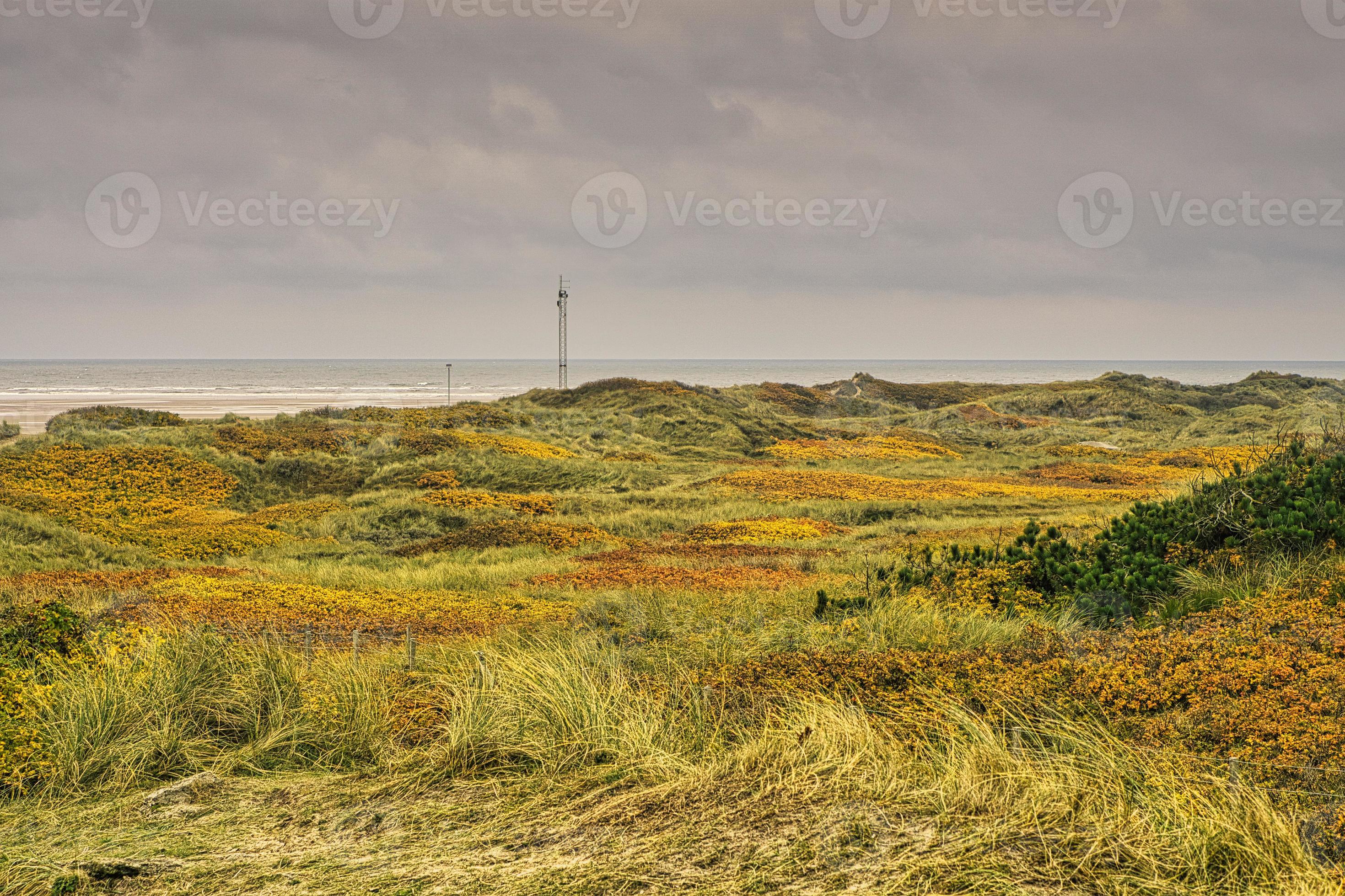 Minimer Jernbanestation gå på indkøb on the coast of Blavand Denmark. View over the dunes. In autumn everything  9739366 Stock Photo at Vecteezy