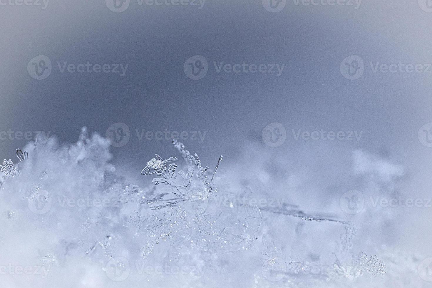 snowflake and ice crystal in snow. shown individually. winter atmosphere photo