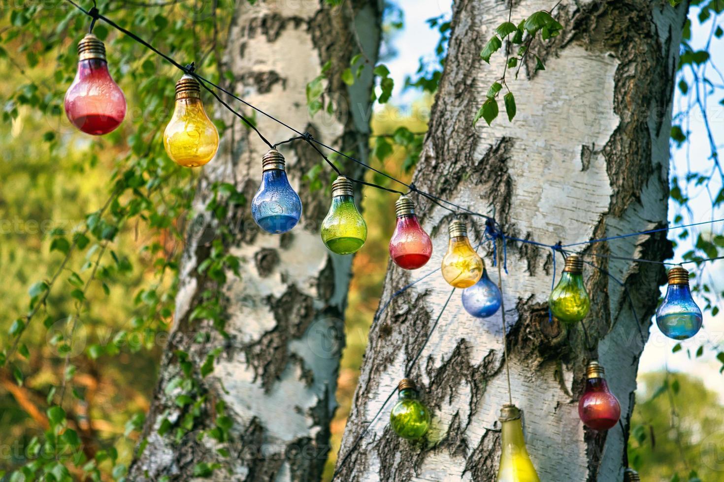 String of lights hanging on the tree. Garden party. Romantic place. Colorful light photo