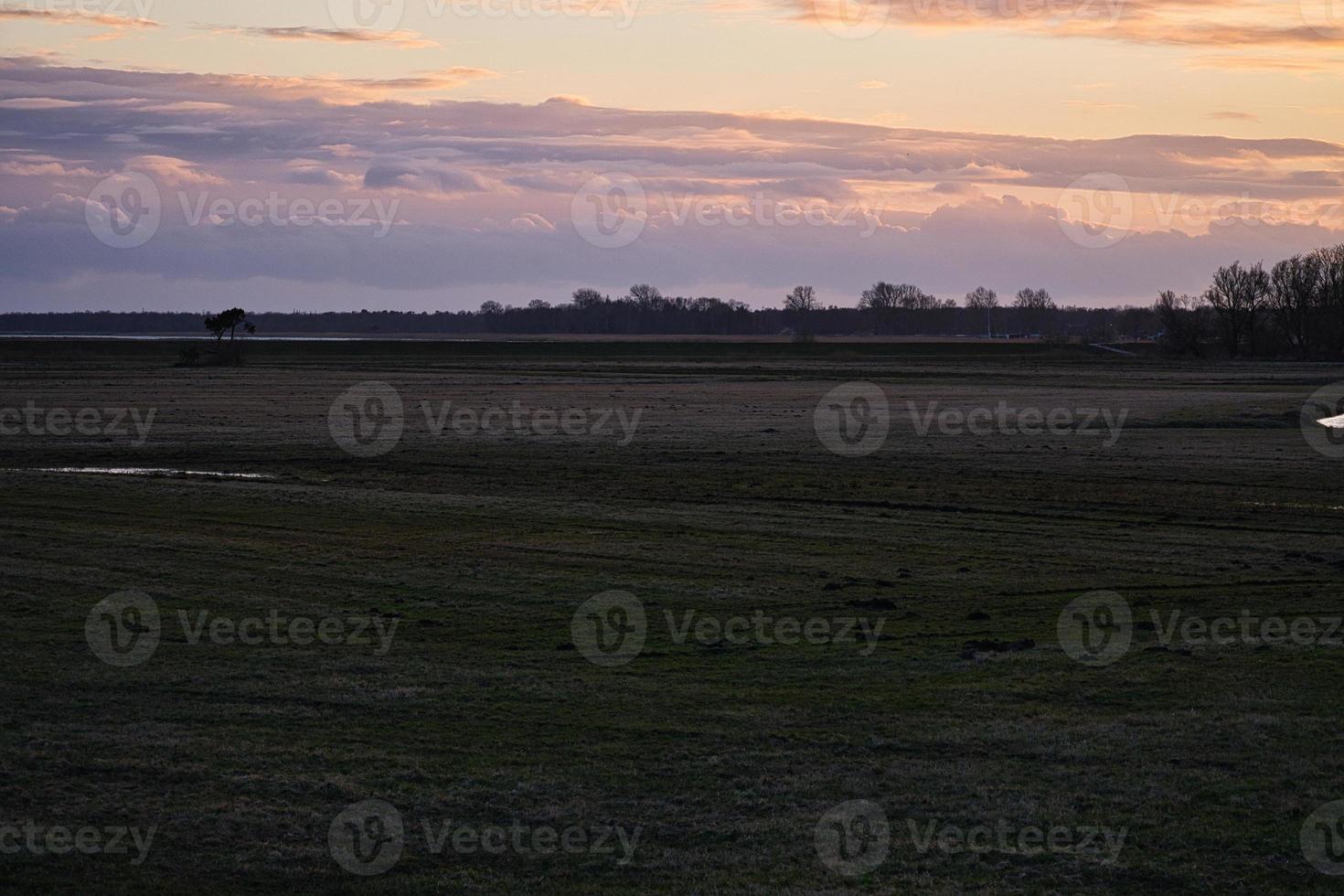 Meadow in front of the Bodden in Zingst at the evening hour. Landscape photo in nature.